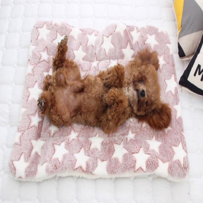Cozy Winter Pet Blanket β Thick Wool Cushion for Dogs & Cats in Teddy Golden Style
